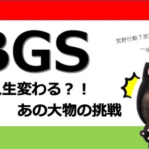 【簡単解説】 BGSのBGC上場！ビッサムグローバルの登録・購入方法・売却方法